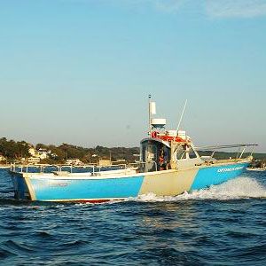 Optimus Prime Sea Fishing Charter Boat